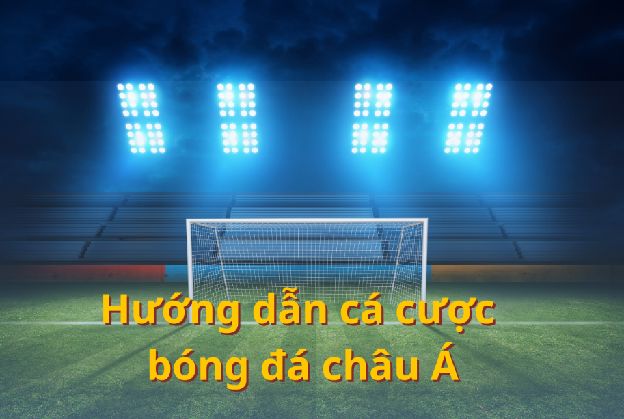 Tổng hợp các bí kíp cá cược bóng đá châu Á hiệu quả dành cho tân thủ